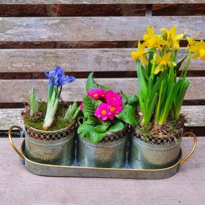 Trio of spring in zinc window ledge planter