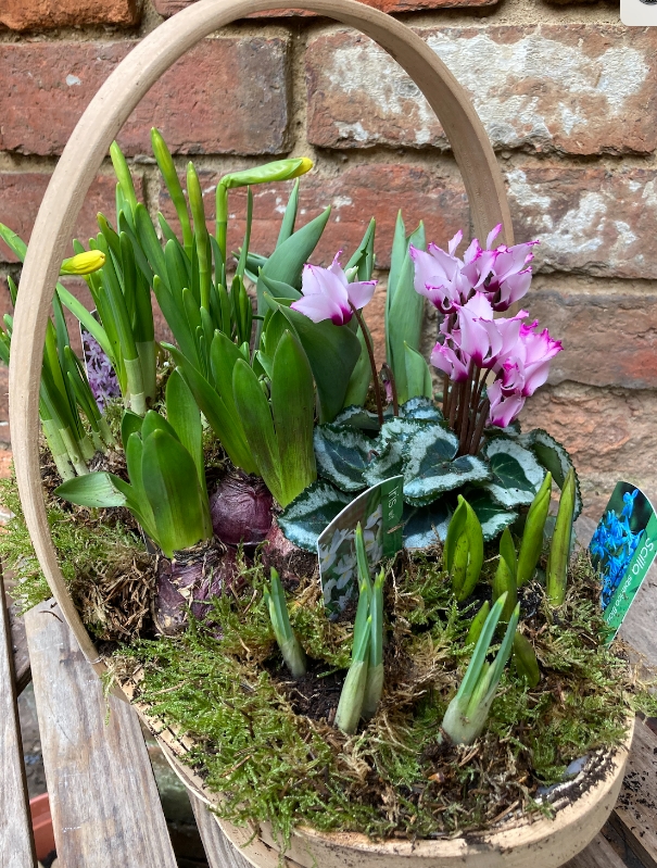 Gardeners trug