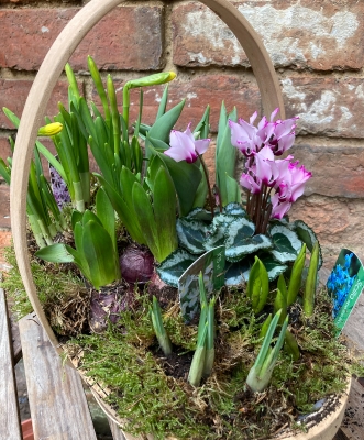 Gardeners trug